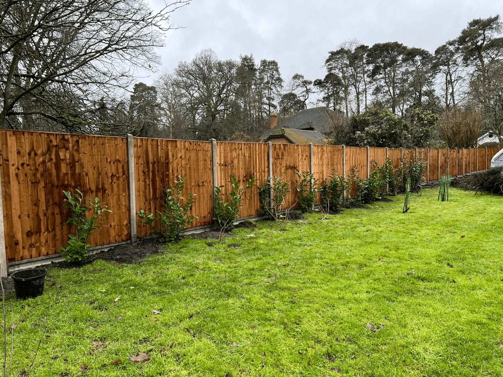 Garden project